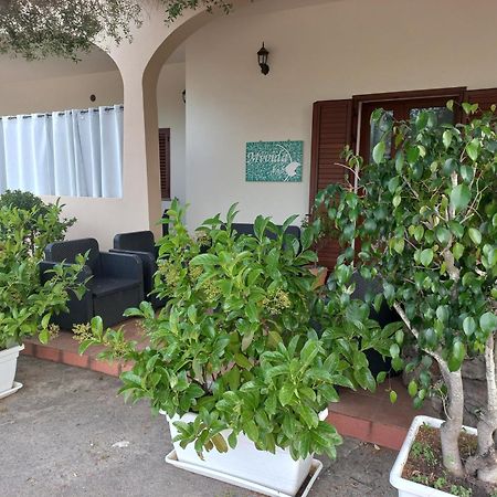 Mivida "Le Stanze Di Ada" Bed & Breakfast ซาน เตโอโดโร ภายนอก รูปภาพ