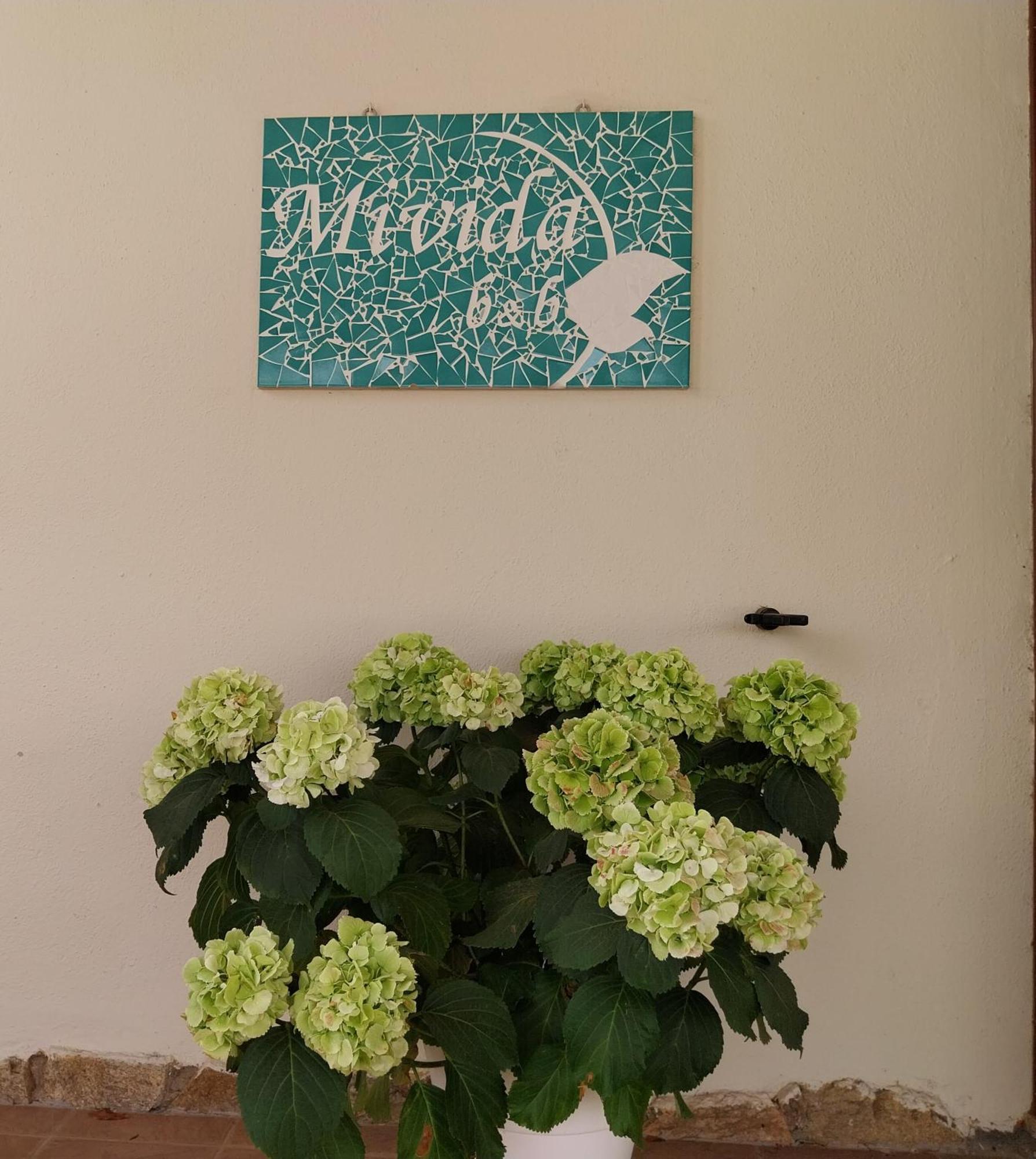 Mivida "Le Stanze Di Ada" Bed & Breakfast ซาน เตโอโดโร ภายนอก รูปภาพ